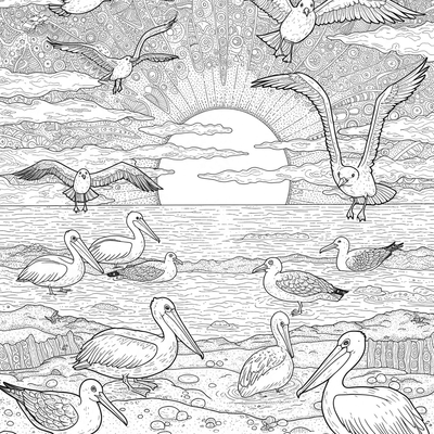 A coloring page for the Coastal Sunset Birdlife category