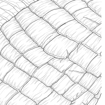 A coloring page for the Intricate Dragon Scales Close-Up category
