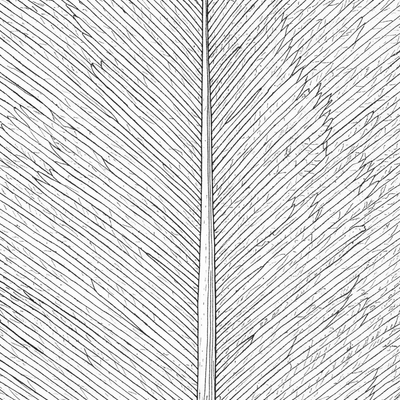 A coloring page for the Owl Feather Macro category