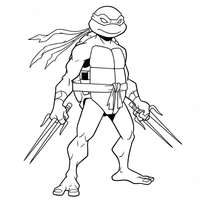 A coloring page for the Raphael Simple category