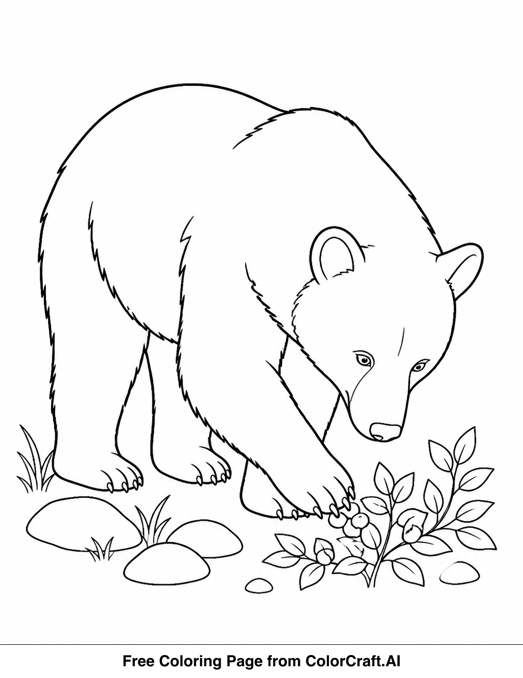 Line drawing of a black bear foraging for food in a forest setting with plants and trees.