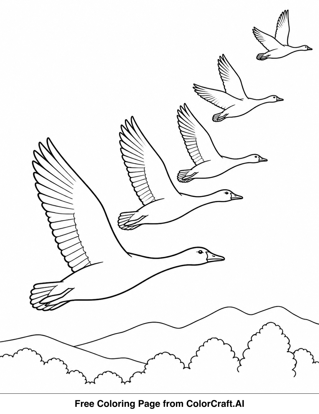 Line drawing of various birds in flight, representing the fall bird migration.