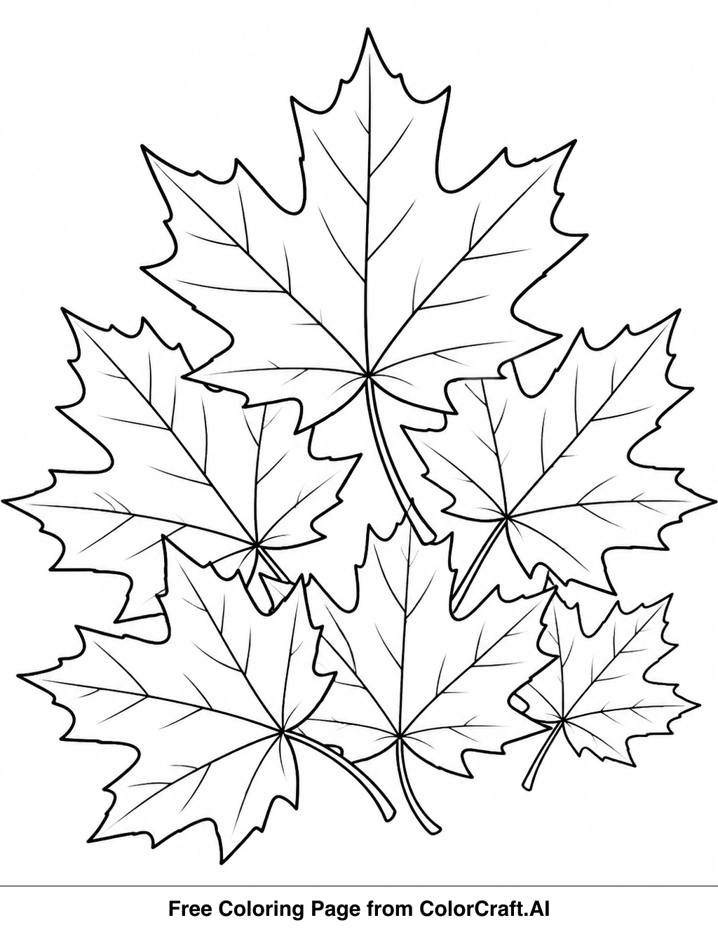 Line drawing of various maple leaf shapes for a printable coloring page.