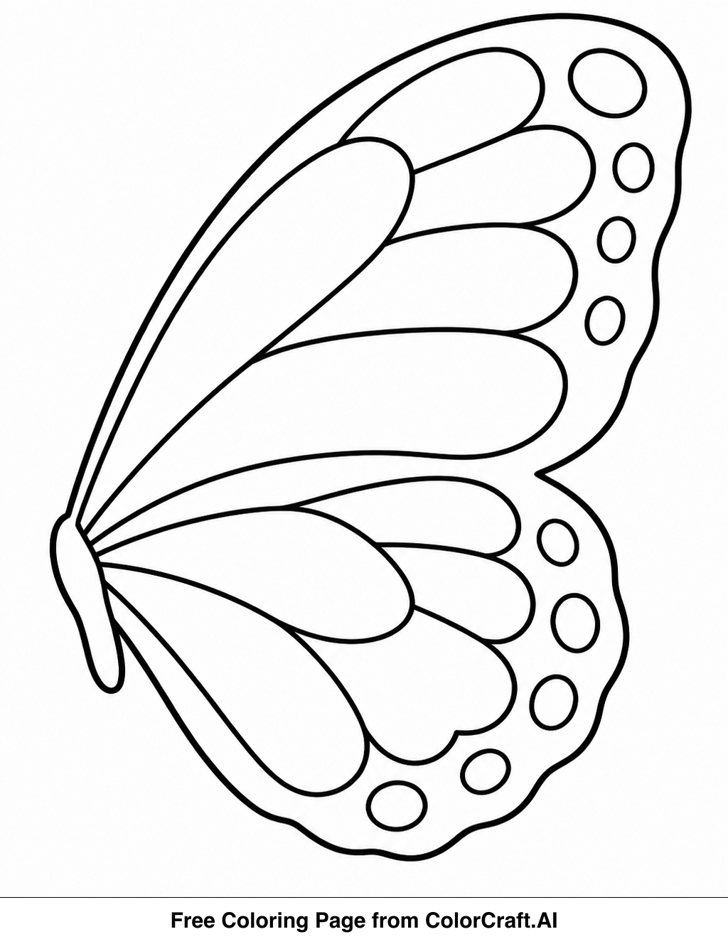 Line drawing of a single butterfly wing with simple patterns for coloring.
