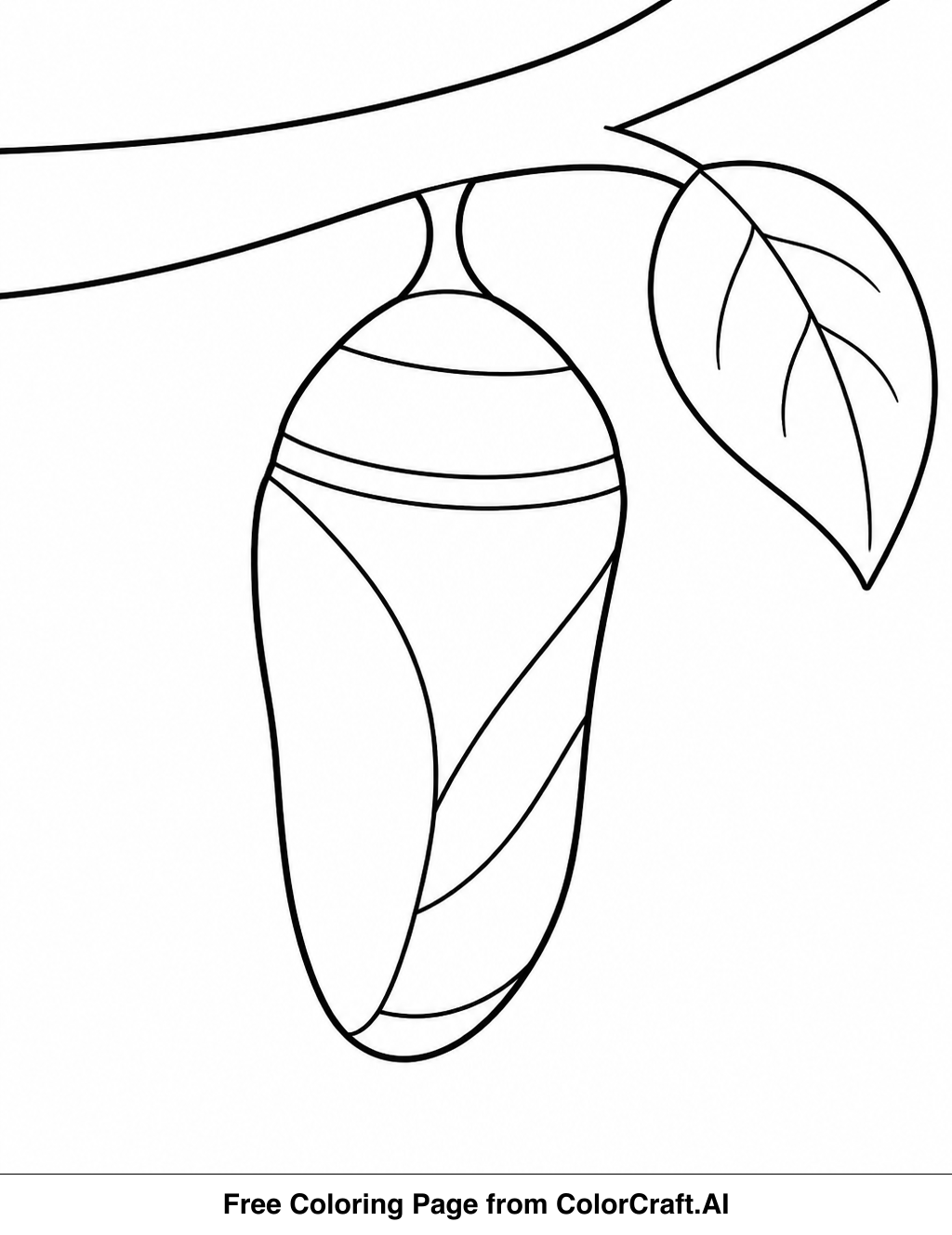Line drawing of a butterfly emerging from its chrysalis, ready for coloring.