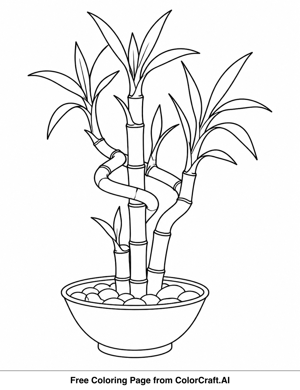 Line drawing of a traditional Chinese lucky bamboo arrangement with stalks and leaves.