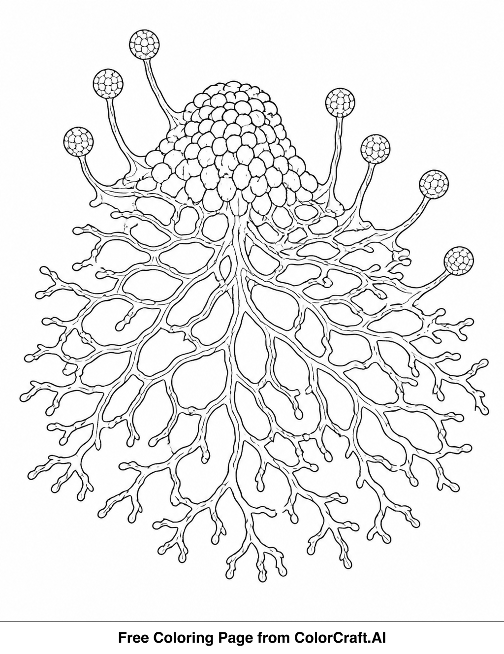 Line drawing of a complex, organic slime mold pattern with intricate details and branching forms.