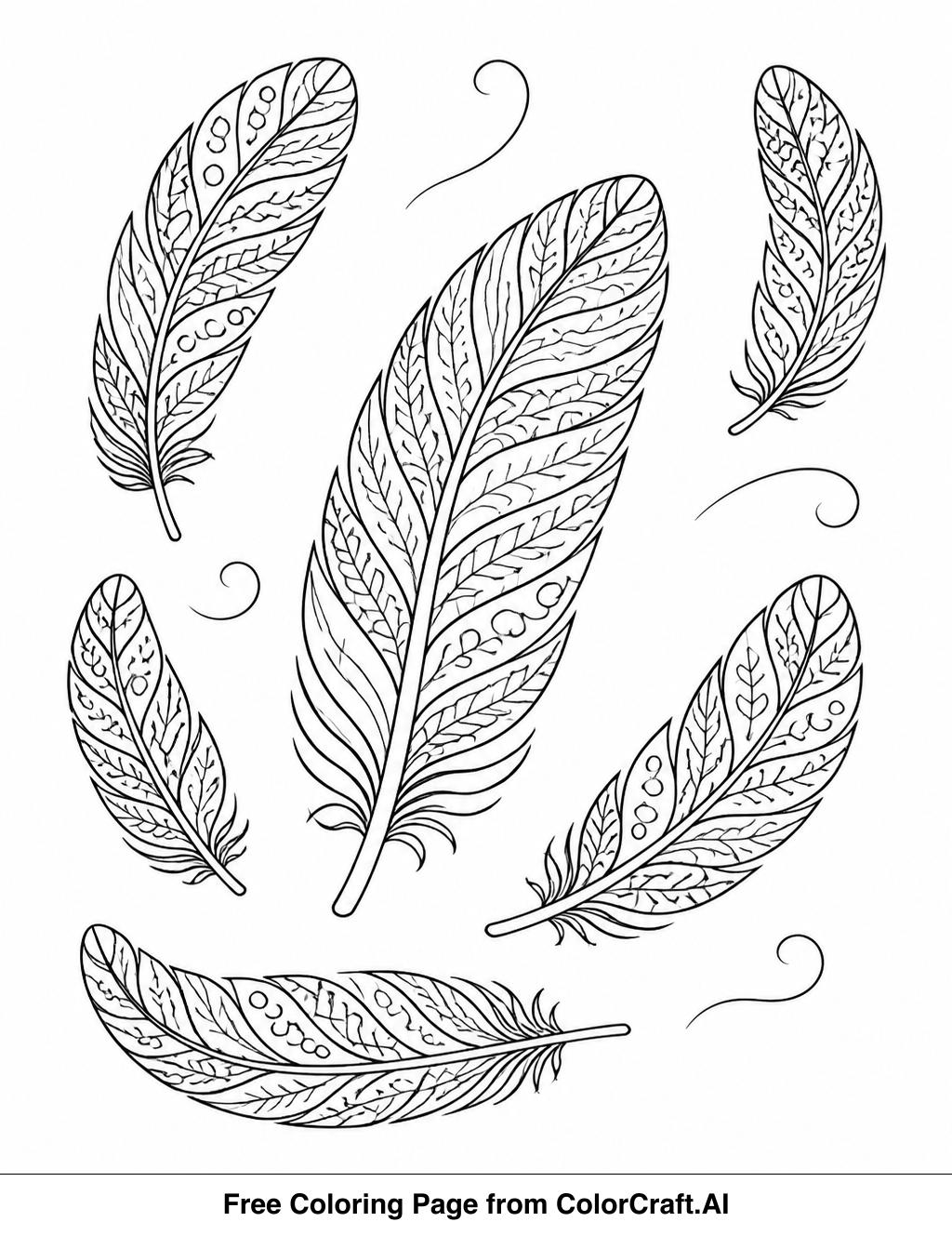 Line drawing of several abstract zentangle feathers gently floating in space, detailed patterns.